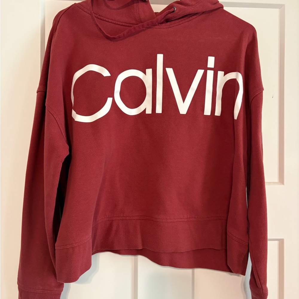 Calvin Klein Burgundy Logo Pullover Hoodie